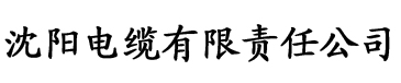 大香蕉在线伊人网电缆厂logo